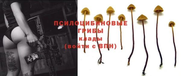 хмурый Куйбышев