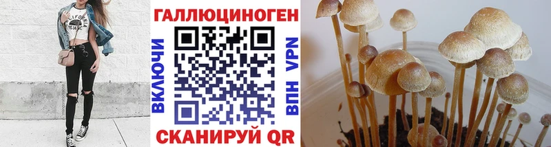 Псилоцибиновые грибы Magic Shrooms цена Называевск